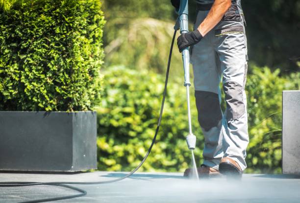 Animal Enclosure Cleaning in Canyon Lake, TX
